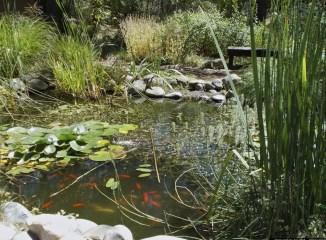 Ananda Meditation Retreat Pond